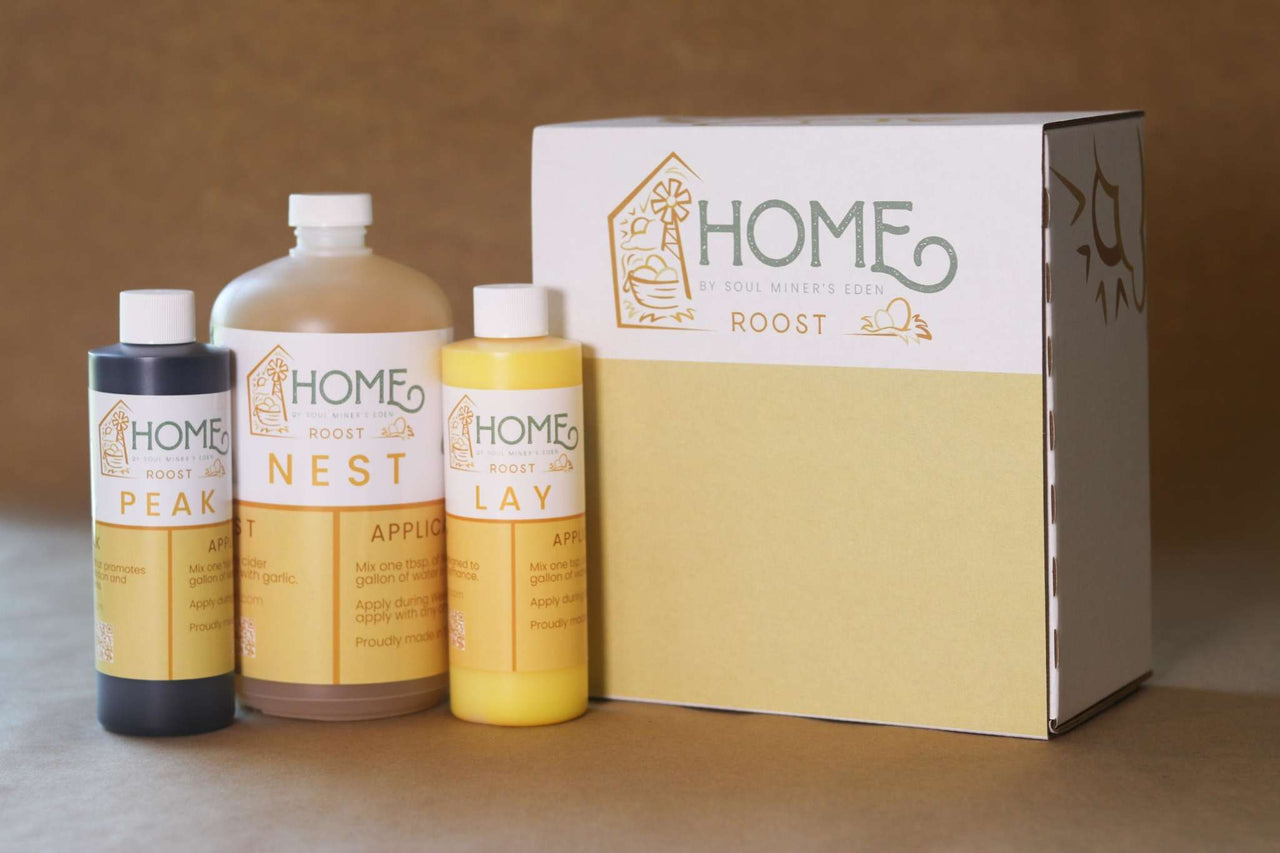 Natural and effective chicken supplements for vitality.