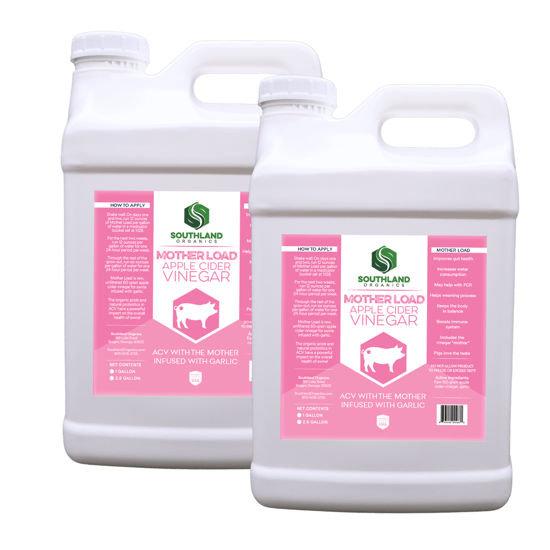 Apple Cider Vinegar for Pigs | Mother Load